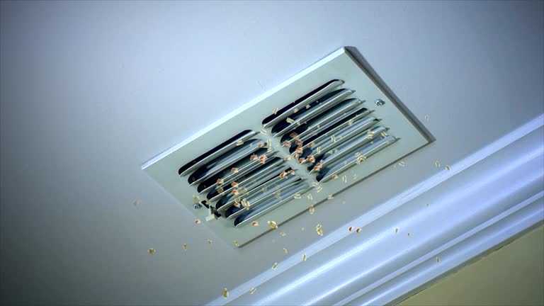 Best Air Duct Mold Removal  in Eastlawn Gardens, PA